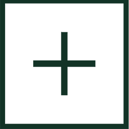 Plus logo