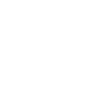 Dark Boot Investments logo