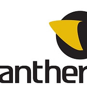 Panthera Impact Fund logo